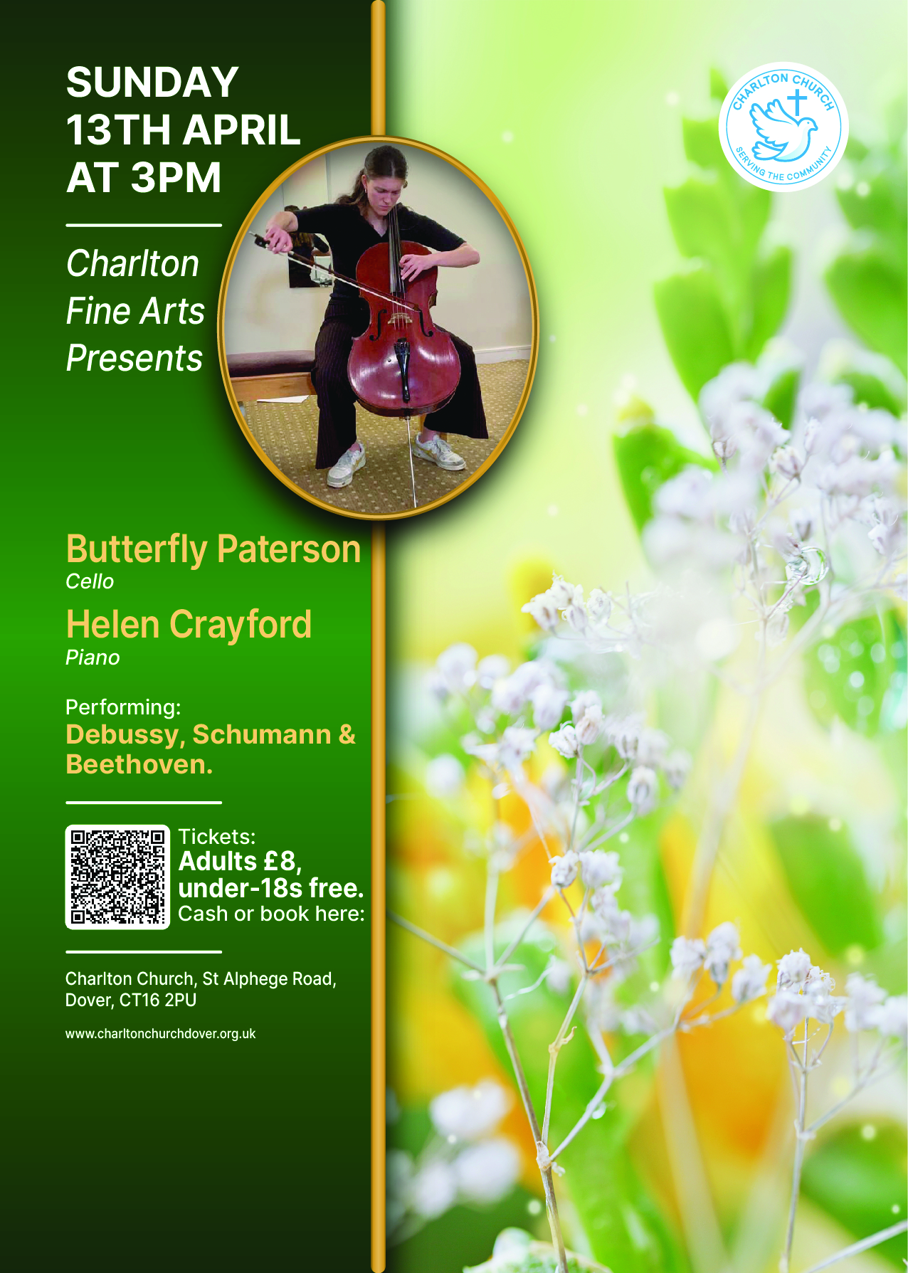 butterfly poster