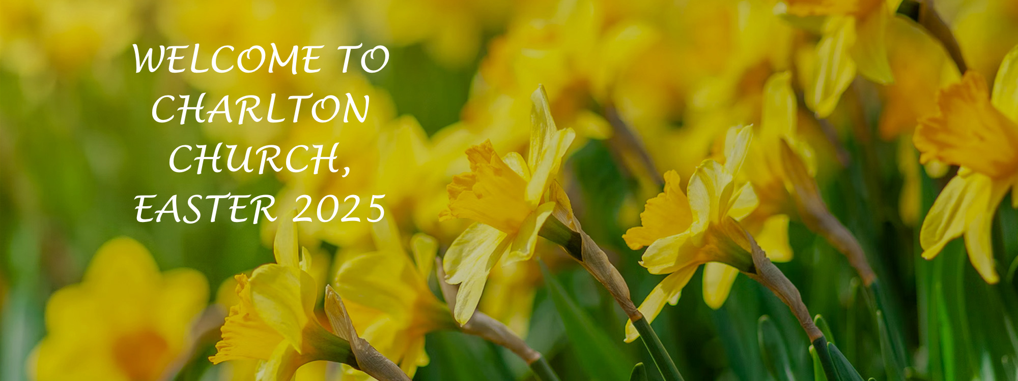 daffs